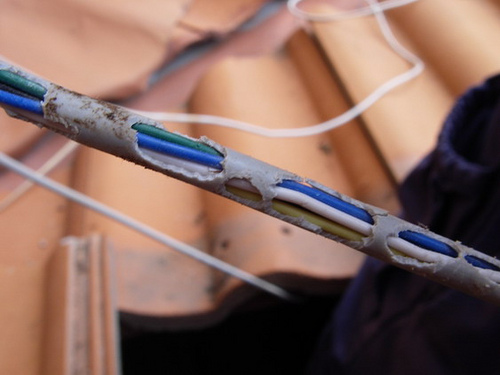 Rat Control Glenwood can prevnt damage to electrical wired here in Glenwood. Pest Worx are Rat removal experts.